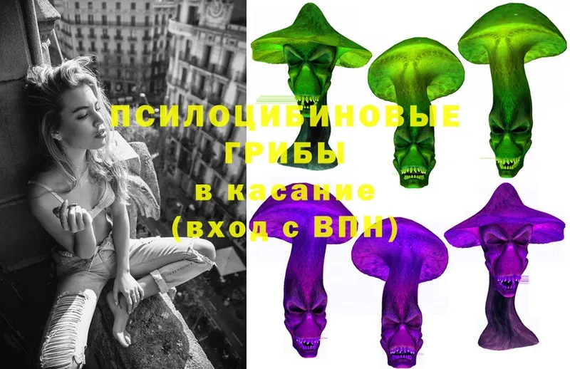 купить наркоту  Железногорск  Псилоцибиновые грибы Psilocybe 